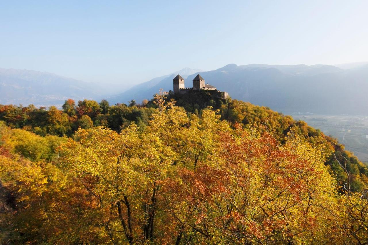Panoramic Suites Winzerhoehe Schenna Exteriér fotografie