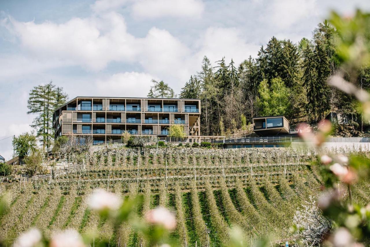 Panoramic Suites Winzerhoehe Schenna Exteriér fotografie