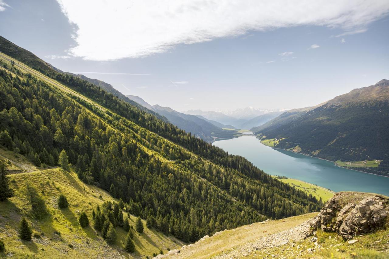 Panoramic Suites Winzerhoehe Schenna Exteriér fotografie